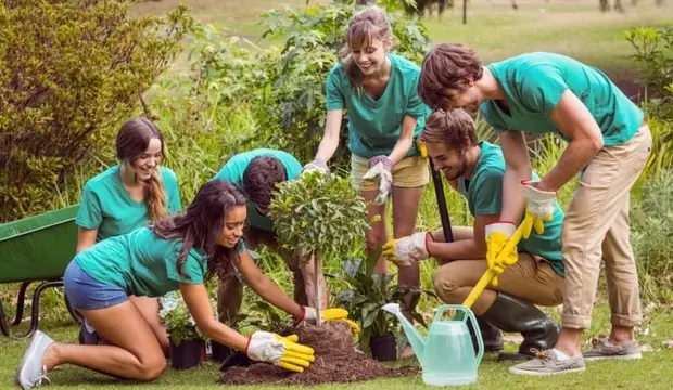 Des bénévoles jardinent ensemble au soleil